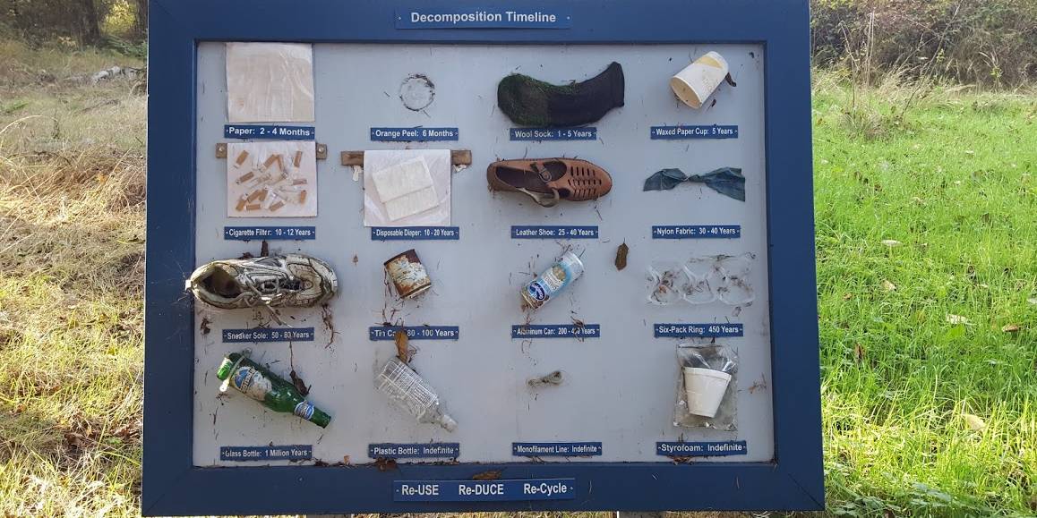 Decomposition timeline of everyday objects